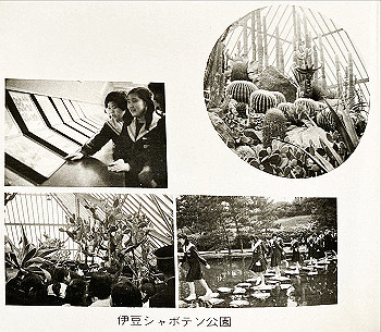 197103-6080_thumb.jpg