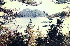 197208-050_thumb.jpg