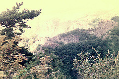 197208-060_thumb.jpg