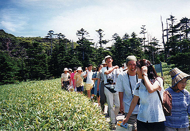 19950730007_thumb.jpg
