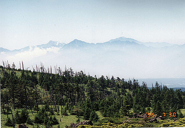 19950730010_thumb.jpg