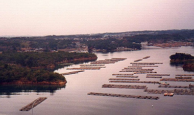 19830328_0201_thumb.jpg