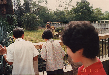 19830427037_thumb.jpg