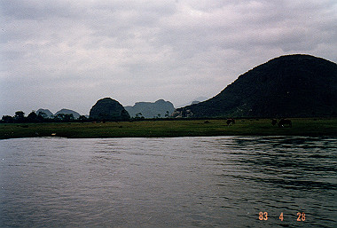 19830428106_thumb.jpg