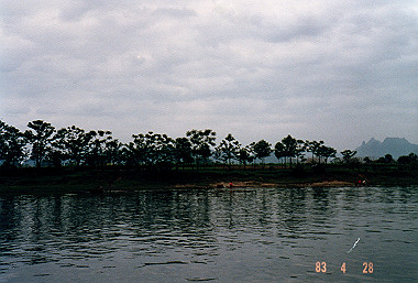 19830428107_thumb.jpg