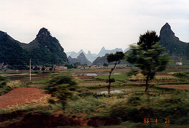 19830428136_thumb.jpg