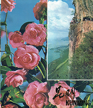19830429160_thumb.jpg