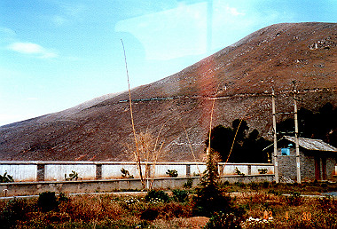 19830430168_thumb.jpg