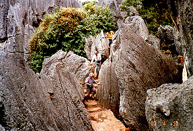 19830430193_thumb.jpg