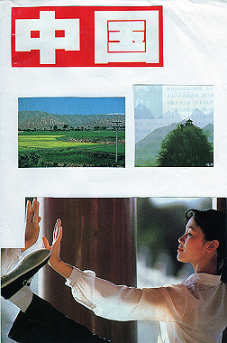 19830501208_thumb.jpg