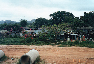 19830502268_thumb.jpg