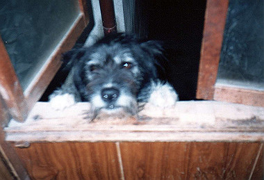 19840223_007_thumb.jpg