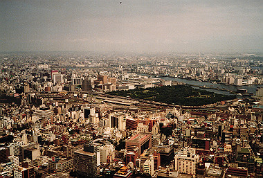 19850526_309_thumb.jpg