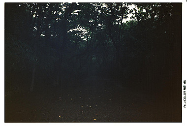 19850609_008_thumb.jpg