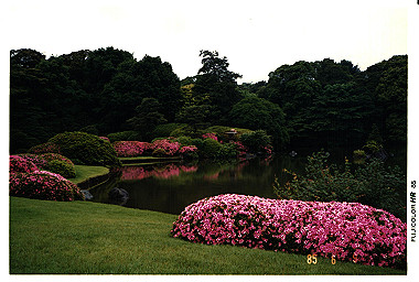 19850609_010_thumb.jpg