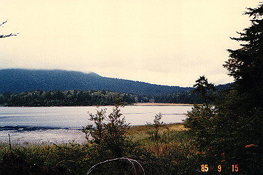 19850915_012_thumb.jpg