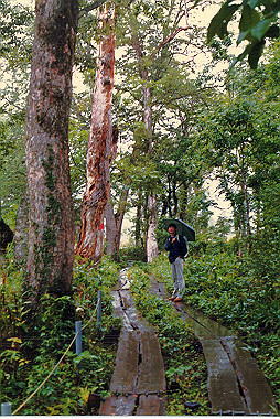 19850916_002_thumb.jpg