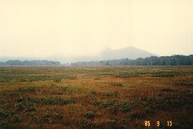 19850916_006_thumb.jpg