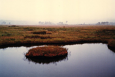 19850916_011_thumb.jpg