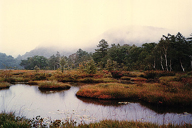19850916_013_thumb.jpg
