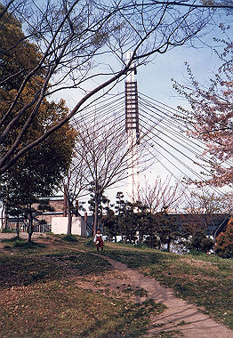 19880300_015_thumb.jpg
