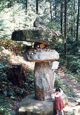 19880503_014_thumb.jpg