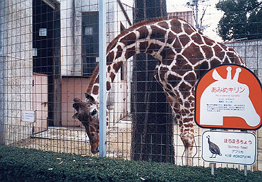 19890105_006_thumb.jpg