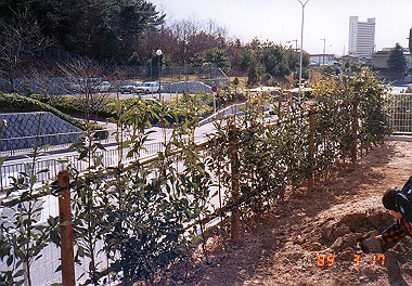 19890317_018_thumb.jpg