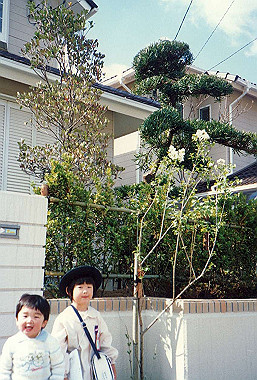 19890408_017_thumb.jpg