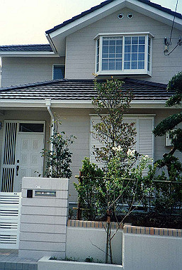 19890408_021_thumb.jpg