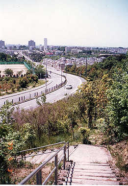 19890503_002_thumb.jpg