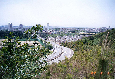 19890503_004_thumb.jpg