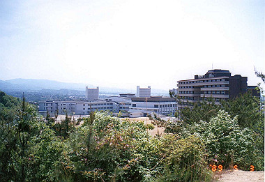 19890503_010_thumb.jpg
