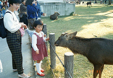 19891104_003_thumb.jpg