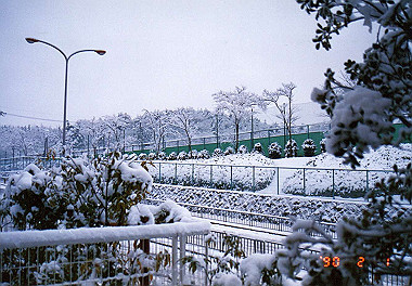 19900201007_thumb.jpg