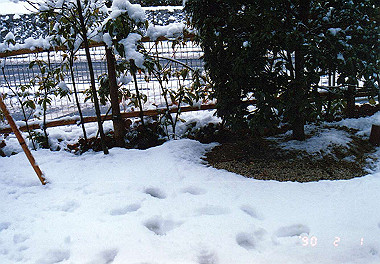 19900201011_thumb.jpg