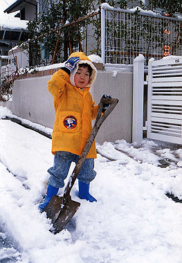 19900201014_thumb.jpg