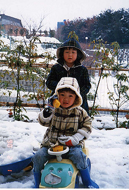 19900201018_thumb.jpg