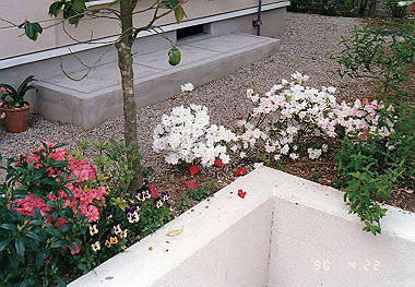 19900422002_thumb.jpg
