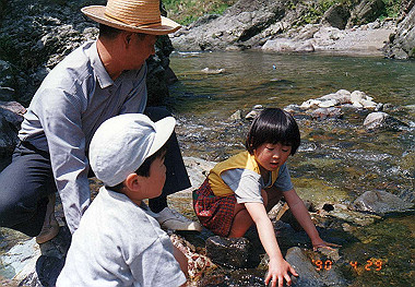 19900422005_thumb.jpg