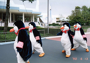 19900613043_thumb.jpg