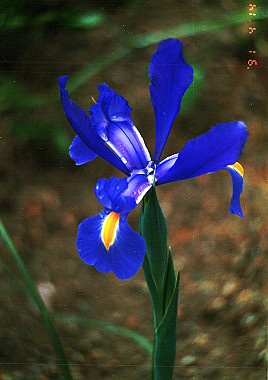 19910414_028_thumb.jpg