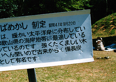 19910421_100_thumb.jpg