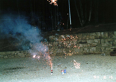 19910815_270_thumb.jpg