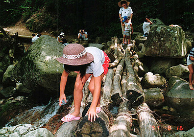 19910816_200_thumb.jpg