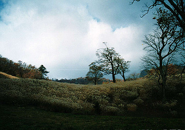 19911104_080_thumb.jpg
