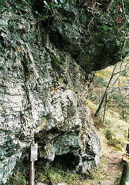 19911104_280_thumb.jpg