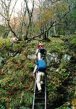19911104_300_thumb.jpg