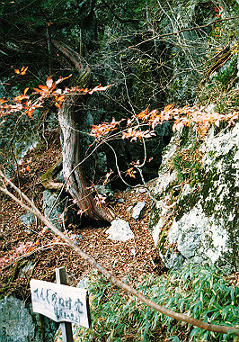 19911104_400_thumb.jpg
