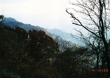 19911104_410_thumb.jpg